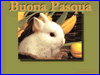 Cartoline Pasqua
